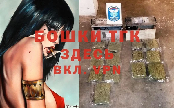 гидра Абаза