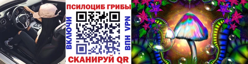 наркота Абдулино Псилоцибиновые грибы мухоморы